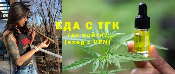 индика Верхний Тагил